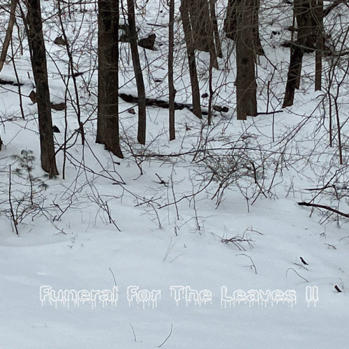 Hall Of Calzharia : Funeral for the Leaves II